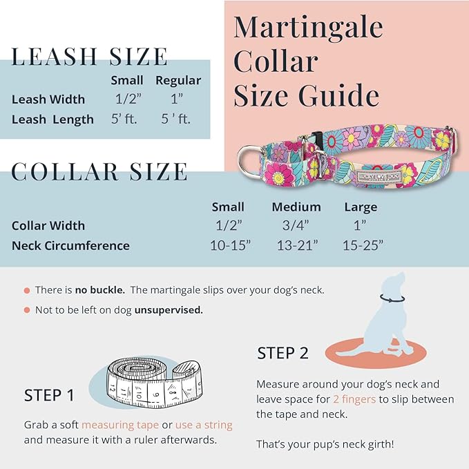 Lucky Love Dog Martingale Collar, Premium Fun Girl No Slip Collars, Strawberry Martingale Large Dog Collar, Great for Whippets, Greyhounds, and More (Sweet Berry, Large)