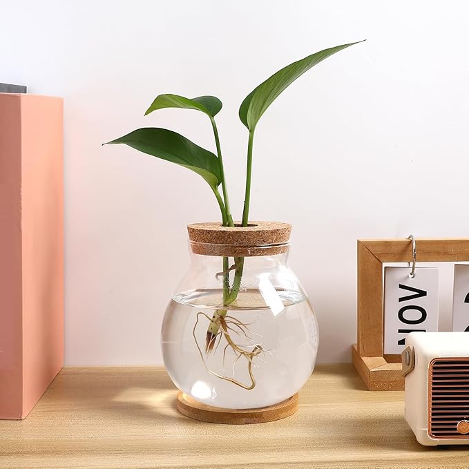 Milisten Desktop Fish Tank Small Glass Fish Bowl with Bamboo Cushion and Wood Lid Hydroponic Plant Terrarium Betta Aquarium for Home Office Decoration