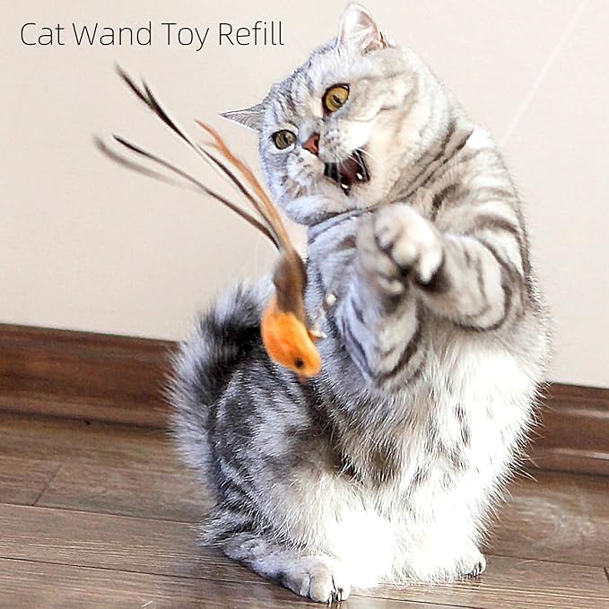 miwoowim 4 Bird Cat Wand Toy Refill for Indoor Cats, Interactive Birds Simulation Set,Door Hanging Feather Cat Toys String Wand Replacement Attachments
