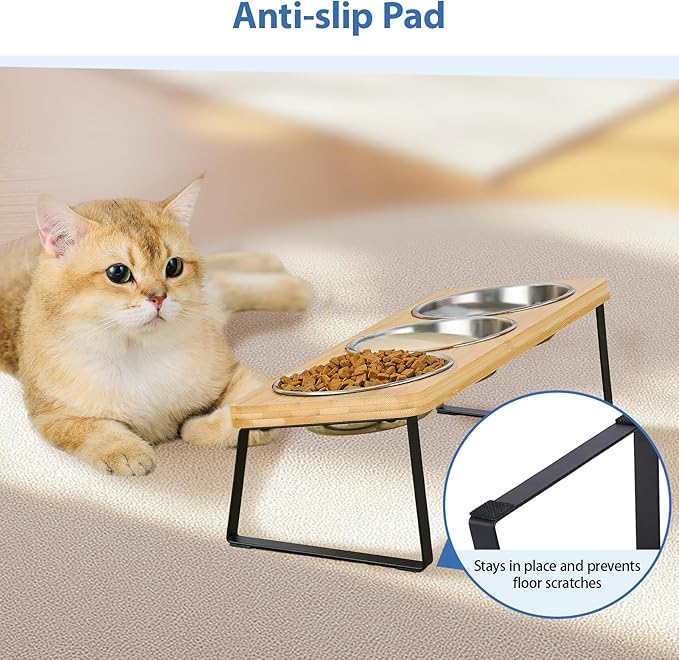 Hannadepot Elevated Cat Bowls, 15° Tilted Raised Cat Food and Water Bowl, Anti-Vomit & Whisker-Friendly Design, 3 Stainless Steel Bowls for Cats and Small Dogs