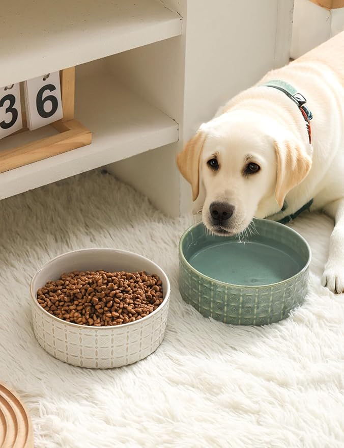 Ceramic Dog Bowls, Dog Food Bowls Water Bowl, 6.5inch Dogs Dishes for Middle and Small Size Dogs, Puppy Plates for Food, White