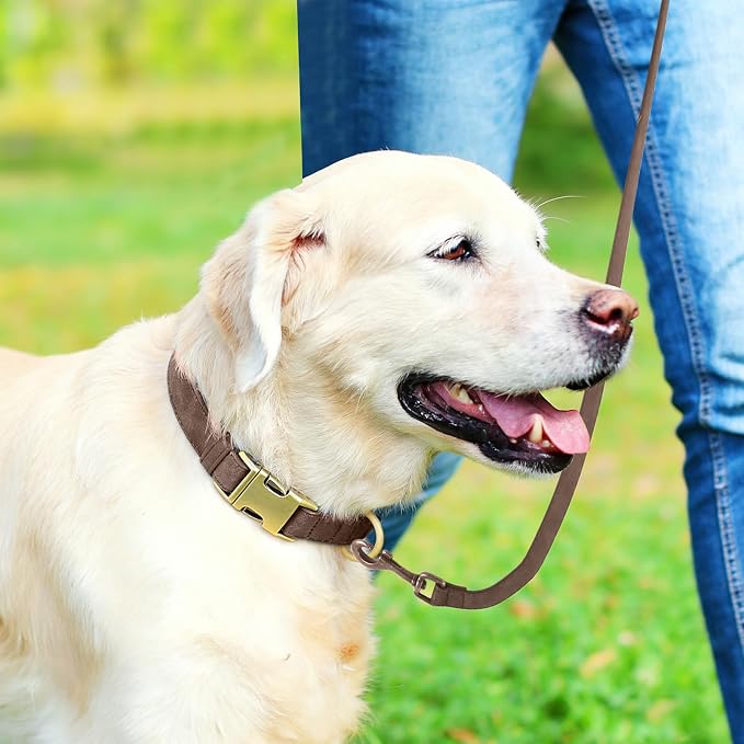 Genuine Leather Dog Collar - Adjustable Pet Collar with Quick Release Metal Buckle, Soft Skin Friendly Real Leather Collar for Small, Medium, Large Dogs (Dark Brown Collar + Rope, L：Fit 15-23" Neck)