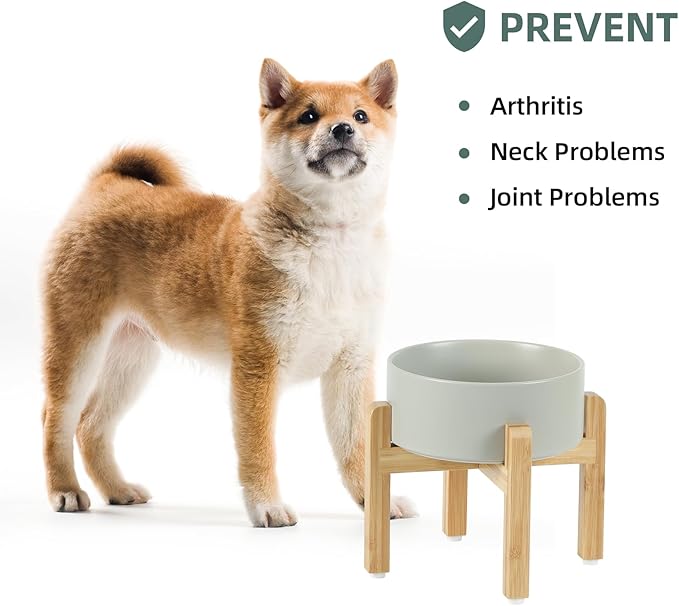 Havniva Ceramic Raised Dog Bowl Set, Elevated with Stand, Food and Water Bowl for Medium Breed Dogs, Weighted Dog Dishes, Pet Bowl(7.3'',41OZ, Grey)