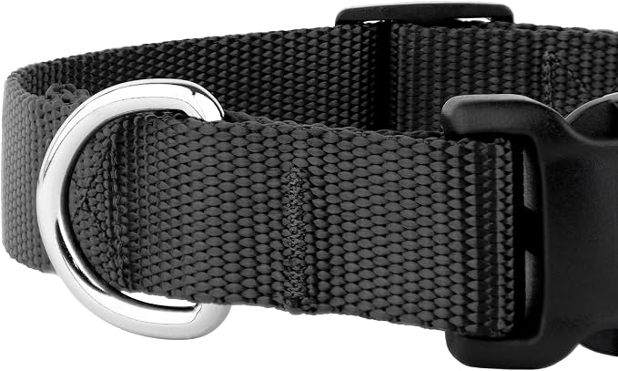 Country Brook Petz - Everyday Nylon Dog Collar and Leash - 10+ Cool Colors (3/4 Inch, Small, Black)