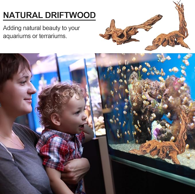 Natural Driftwood Decor for Aquarium Decorations Reptile Tank Accessories, Assorted Wood Branches Decorations on Reptile Fish Tank 2-10" 2 Pcs/4 Pcs/ 5 Pcs/ 6 Pcs (Pack of 2 (7.5 to 10 Inch))