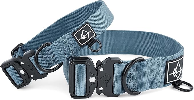 Made to ROAM Premium Dog Collar - Adjustable Heavy Duty Nylon Collar with Quick-Release Metal Buckle (California Horizon, Classic Size 1)