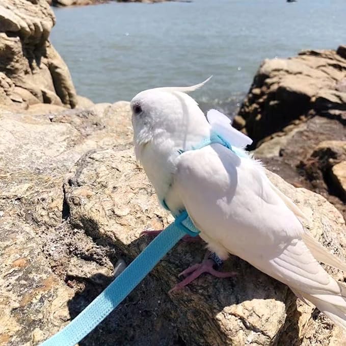 Pet Parrot Bird Harness Leash Adjustable Bird Flying Harness Traction Rope with Cute for Parrots Budgerigar Lovebird Cockatiel Mynah Outdoor Training Toy (Budgerigar/Lovebird,White)