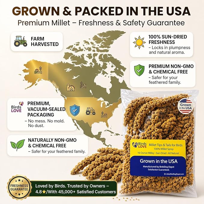 Birds LOVE Millet Tips & Tails for Birds - Parakeets, Cockatiels, Lovebirds, Finches, Budgies, Canaries, Cockatoos - Natural & Healthy Millet for Birds - Parakeet Food & Treats for All Parrots, 1lb
