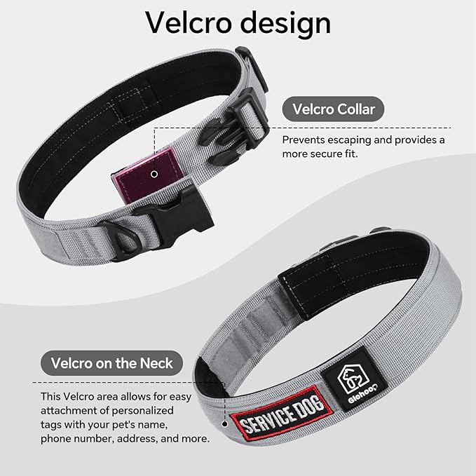 Tactical Durable Dog Collar, Metal D-Ring, Adjustable Heavy Duty Dog Collar with Heavy Quick-Release Buckle for Medium Large Dogs (Gray, S)