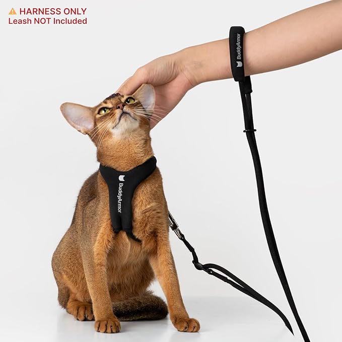 Escape Proof Y Shape Cat Harness Anti-Choke Adjustable Comfortable Padded Cat Vest Harness Anti Escape Cat Rope Harness for Kitten Small Medium Large Cats (Burgundy, L)