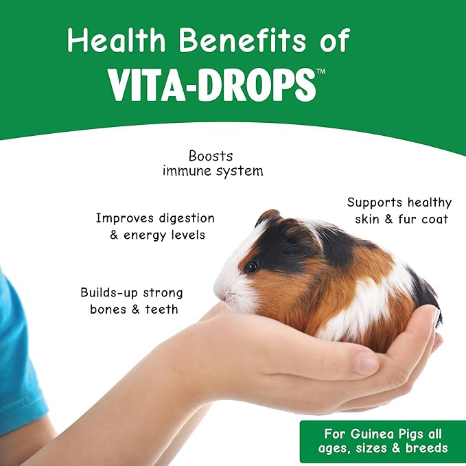 Oasis Guinea Pig Vitamins Vita Drops All-in-1 Multivitamins - Daily Vitamin Supplement Supports Healthy Bones & Teeth, Joints & Digestion, Promotes Healthy Skin Coat, 16-Ounces