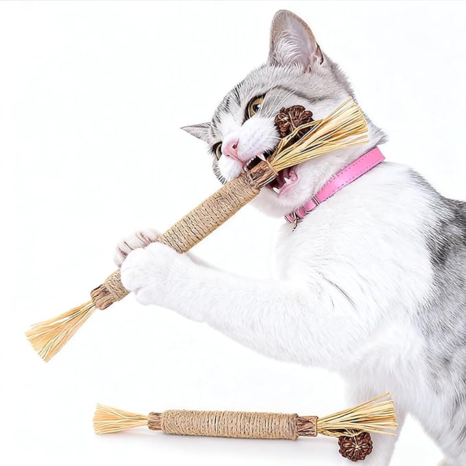 Silvervine for Cats: Cute Cat & Kitten Toys for Indoor Cats Interactive‖ Cat & Kitten Teething Chew Toys for Aggressive Chewers,Silvervine Sticks Cat Dental Toy (4PCS)