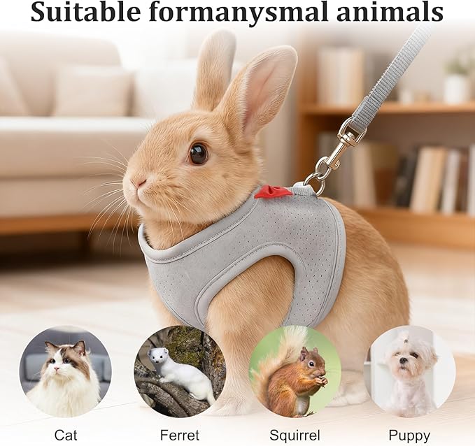 Bunny Harness and Leash Set, Escape Proof Rabbit Harness,Soft Breathable Mesh Rabbit Harnes with Bow and Metal Buckles for Rabbits, Kittens, Ferrets, Guinea Pigs,Pet Walking Gear