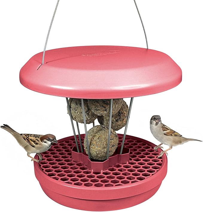 SWISSINNO Bird Feeders - No Mess Fat Ball/Suet Feeder for Outdoors Hanging - Smart Birds Lucerne Spill Proof Wild Cardinal Bird Feeder with Integrated Seed Catcher Tray - Dusty Rose