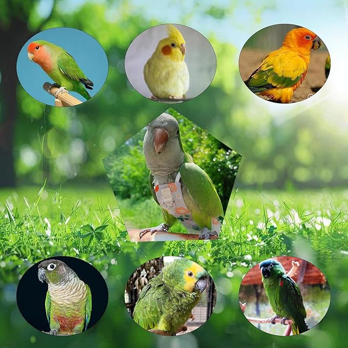 Snap-Closure Parrot Diaper Flight Suit for Cockatiels, Lovebirds & Medium Birds Cotton Washable Escape-Proof Harness with Leash Set(Rainbow Honey Sucking Model+1 Meter Rope)