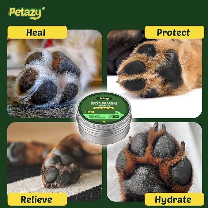 Petazy Dog Paw Balm – Itch Away Formula for Itchy, Dry, Craked & Irritated Paws | Lick-Safe, Natural Relief with Coconut Oil, Aloe Vera & Shea Butter | Paw & Nose Balm for Dogs & Cats, 2.1 oz