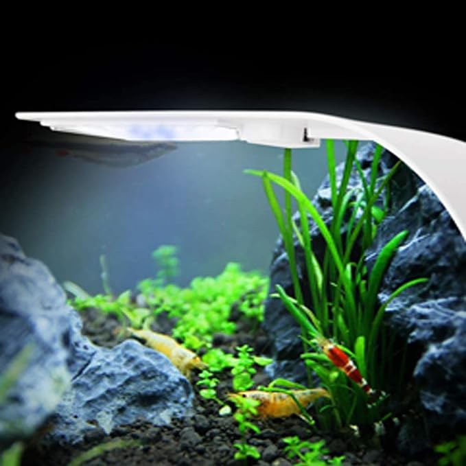 10W Super Slim Aquarium Fish Tank 5730 LED Light Clip-on Lamp Aquatic Plant Lighting (White Body White+Blue Light)