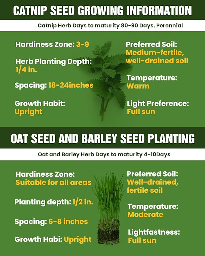 Cat Grass & Catnip Seeds Kit - Fast Growing Indoor Cat Grass (3-7 Days),Wheat Oat Barley Pet Grass for Hairball Control & Digestive Health