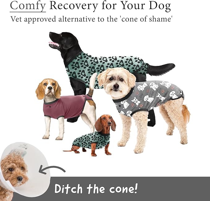 BellyGuard Dog Surgery Recovery Suit, Dog Onesie for Post-Op Care, Recovery Apparel for Female and Male, Surgical Body Cover for Canine Healing Support