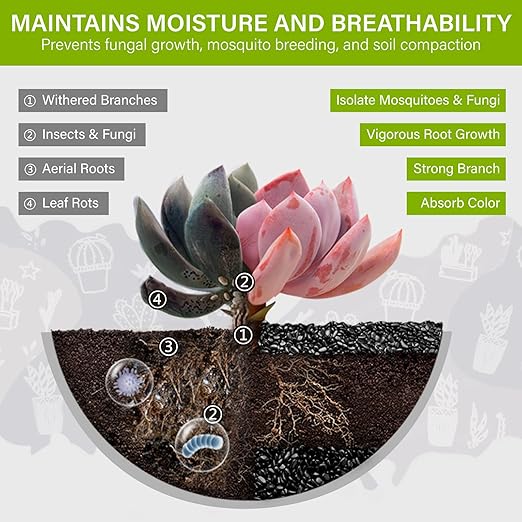 NUPICK 12lb River Rocks for Plants Indoor, Black Pebbles for Vases Fillers | 1/5 Inch Decorative Pea Gravel for Fish Tank, Natural Polished Stones for Succulent, Bonsai, Landscaping, Bird Baths