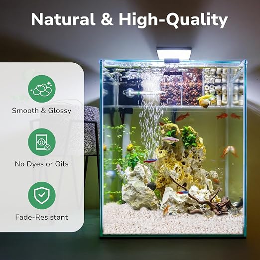 GreatBuddy 10-lb Decorative Rocks for Indoor Plants, 3/8" White Pebbles, Small Rocks for Potted Plants, Succulent, Vases, Aquariums, Fish Tanks, Garden Landscaping, Natural Polished
