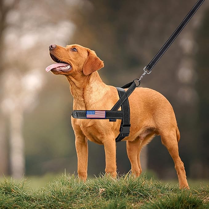 Annchwool No Pull Dog Harness with Padded Handle+5 Ft Leash,Reflective Strip Escape Proof and Quick Fit to Adjust Dog Harness,Easy for Training Walking for Small & Medium and Large Dogs(Black-Set,XL)