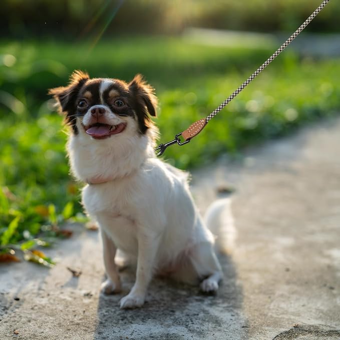 Mile High Life Small Dog Leash, Thin Rope Leash with Genuine Leather Connection and Heavy Duty Metal Clasp, Great for Small Medium Dogs(Black Khaki,60 Inch-1/3)