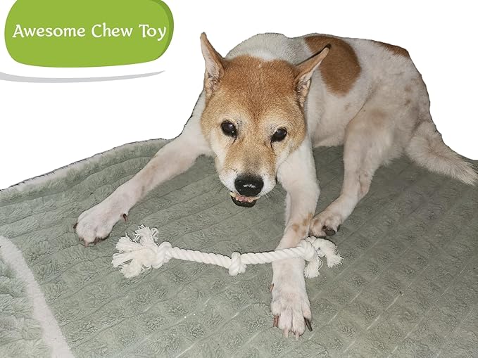 2-Pack 13" Cotton Rope Dog Toys for Small & Medium-Small Dogs – Tug Play, Light Chewing & Teeth Cleaning, Interactive Play, White