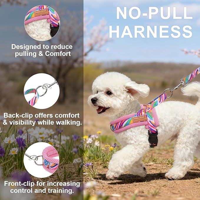 BEAUTYZOO Dog Harness for Small Dogs,No Pull Dog Harness and Leash Set,Soft Breathable Escape Proof Puppy Vest Harnessss with Handle,Lightweight Quick Fit Harness for Girl Boy Dogs Training Walking,S