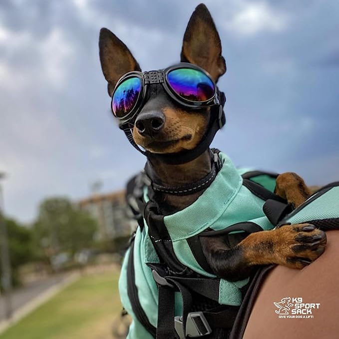 K9 Sport Sack Plus 2 - Small, Summer Mint - Ideal for Dogs 13-16” Long - Adjustable, Backpack-Style Carrier with Multi-Functional Storage Pack, Thick Shoulder Straps & Padded Back Panel