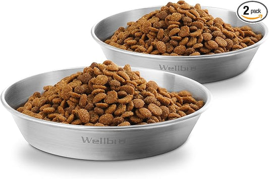 Cat Food Bowls, 2 Pcs Stainless Steel Cat Food and Water Bowls, Whisker Fatigue Shallow Cat Dishes, Small Dog Puppies Fat Faced Cat Kitten Supplies