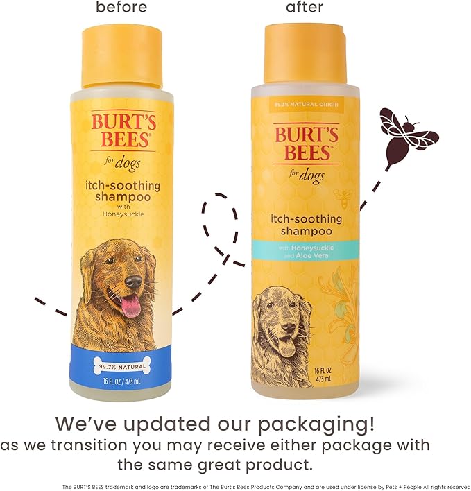 BURT'S BEES FOR PETS Itch Soothing Shampoo with Honeysuckle, 6pk, 95% Natural Origin Formulas, Dog Shampoo for Itchy Dogs, Dog Shampoo Itchy Skin Relief, 6pk, 16 oz
