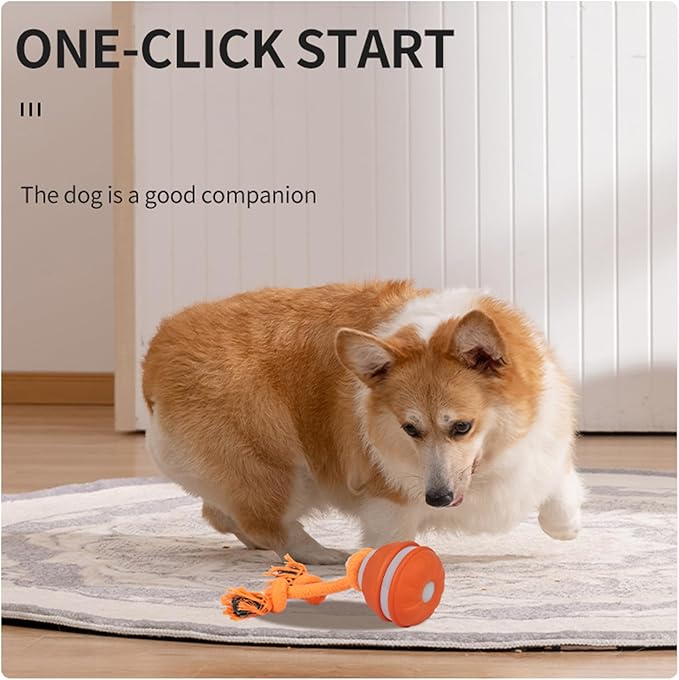2PCS Interactive Dog Toys Dog Ball,Automatic Rolling and Bouncing Moving Dog Toy,Squeaky Rolling Balls with Flashing Light,USB Rechargeable Chew Toys for Puppy Small Dogs, Pet Ball to Keep Them Busy