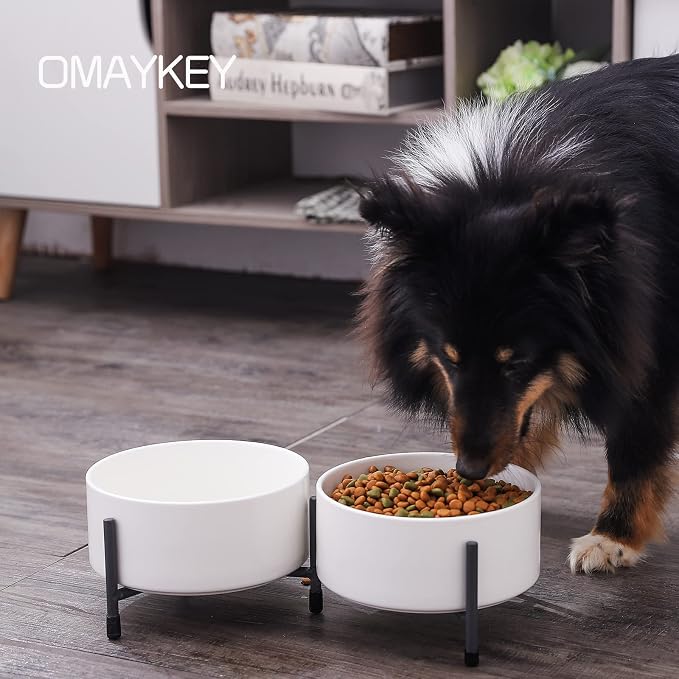 32 oz Ceramic Dog Bowls with Metal Stand, 6 Inch Pet Food and Water Dish | Bowl Dishwasher and Microwave Safe, 2 Heights, for Cats & Dogs, Prevent Neck Fatigue, White