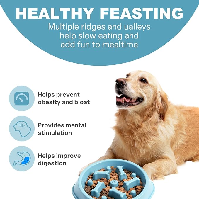 Slow Feeder Dog Bowls Anti Gulping Reduces Gastric Burden Prevents Bloat and Digestive Issues Safe Durable Material Easy to Clean Puppy Slow Feeder Bowl for Healthy Eating Excess Energy Management
