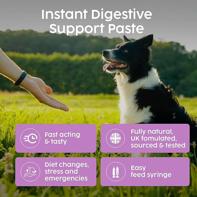 Dog Diarrhea Treatment, Fast Acting Upset Stomach Relief, Prebiotic & Probiotic for Dogs & Cats, Stop Loose Stools, Tasty Peanut Flavour 30cc