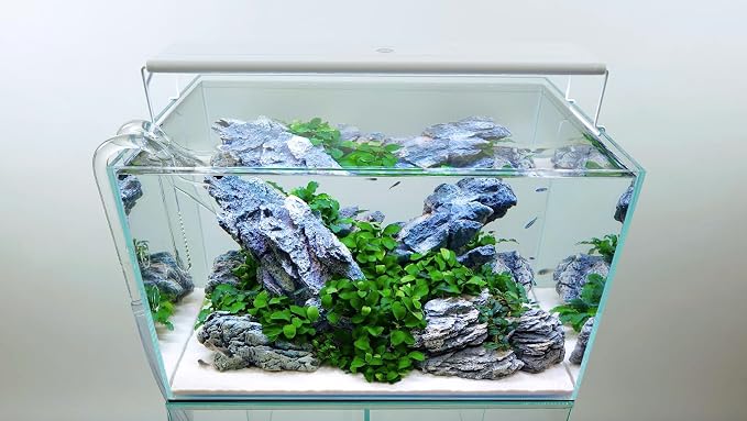 CURRENT USA 18-24" Inch White Full Spectrum Freshwater LED Aquarium Plant Light 10 15 20 25 Gallon | Satellite Plus RGB+ for Aquariums | Wireless 24 Hour Timer Remote Fish Tank Planted Lighting (4320)