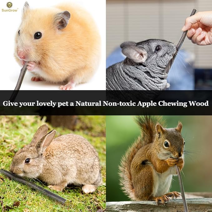SunGrow Apple Sticks, Wood Chew Treats for Rabbits, Chinchillas, Bunny, Hamster, Squirrel, Guinea Pigs, Small Animals Teeth Grinding 100g (3.5 oz)