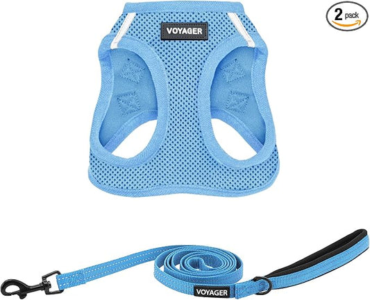 Best Pet Supplies Voyager Step-in Air All Weather Mesh Harness and Reflective Dog 5ft Leash Combo with Neoprene Handle, for Small, Medium and Large Breed Puppies - Baby Blue, X-Small