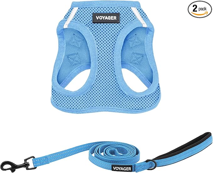 Best Pet Supplies Voyager Step-in Air All Weather Mesh Harness and Reflective Dog 5ft Leash Combo with Neoprene Handle, for Small, Medium and Large Breed Puppies - Baby Blue, Large