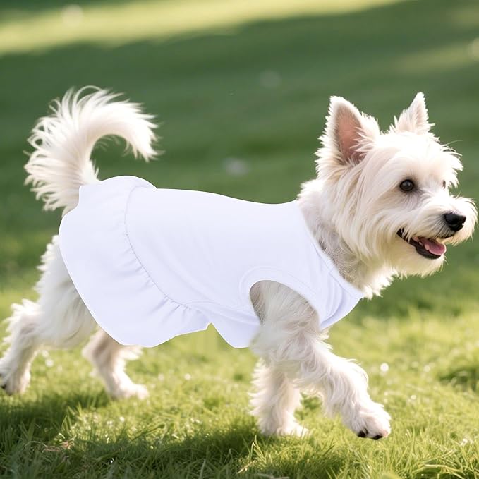 2 Pcs Dog Dresses Cat Skirt Solid Color Dog Clothes Summer Sleeveless Puppy Girl Clothes for Small Pet Dogs Cats (White,Blue, Small)