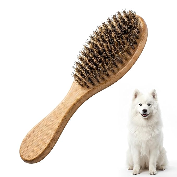 Soft Boar Bristle Dog Brush for Short Haired Dogs Gentle Grooming and Deshedding Tool Wooden Handle Ideal Pet Hair Brush Puppy Essentials for Grooming and Shedding