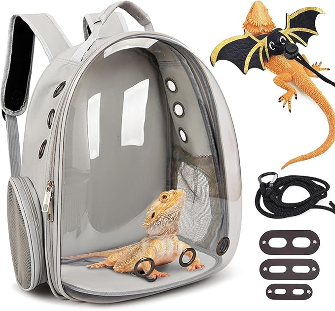 kathson Bearded Dragon Carrier with Harness and Leash Set, Large Reptile Travel Carrier Portable Lizard Backpack Clear Small Animals Carrying Bag for Gecko Hamster Rabbit Hedgehog Kitten (Gray)