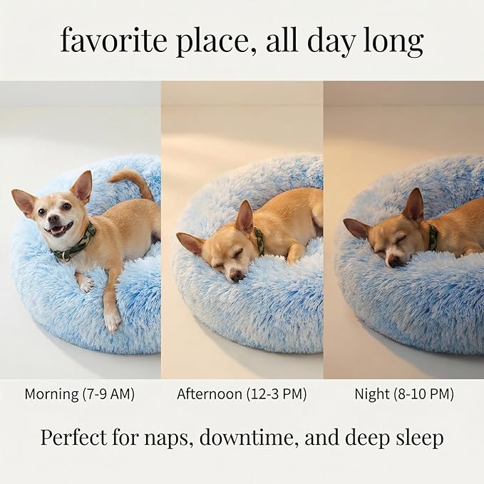 Calming Donut Dogs Beds for Small Dogs Washable,19inch Fluffy Round Puppy Bed for Puppies,Cats & Toy Breeds with Raised Rim,Fits up to 15 lbs Pets,Gradient Blue