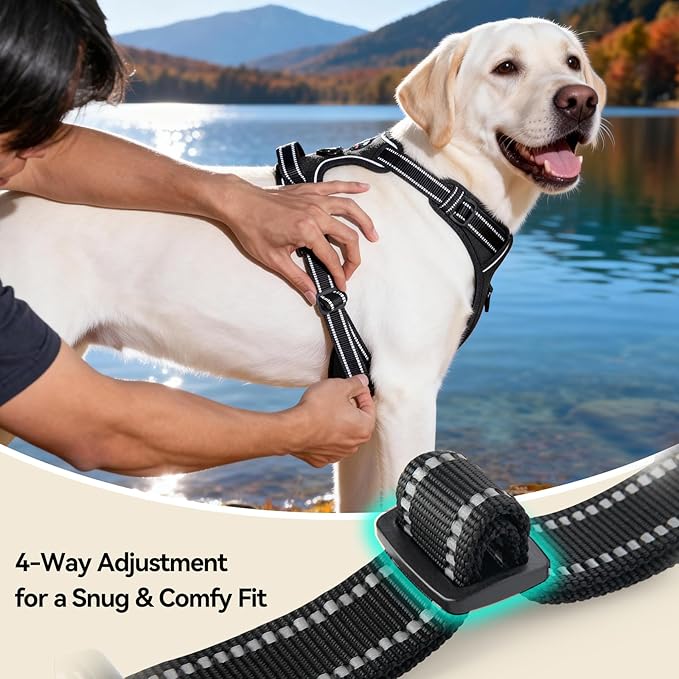 PHOEPET No Pull Dog Harnesses for Small Puppies Reflective Adjustable Front Clip Vest with 2 Metal Leash Attachment Hooks Soft Handle (S, Black)