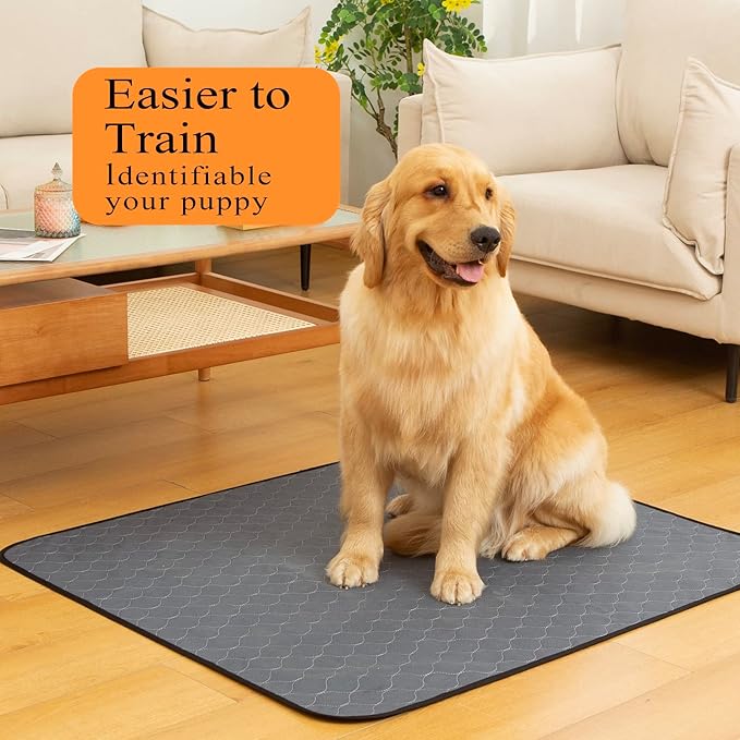 Bunlitent Washable Pee Pads for Dogs 41" x 41", 5 Pack, Reusable Puppy Pads, Dog Training Pads with Quick Dry, Large Anti-Slip Whelping Pad for Pet, Playpen, Incontinence, Housebreaking