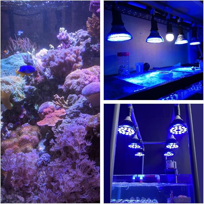 LED Aquarium Lights Bulb 18W Saltwater Fish Tank Light Full Spectrum Aquatic Plants Grow Lamp Refugium Light with UV Blue White Red Green LEDs Reef Lights for Coral Marine Algae Turtle Habitat