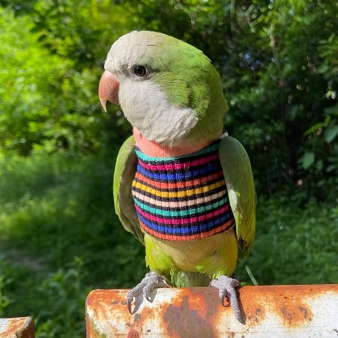 Bird Clothes - Handmade Cotton Stripe Shirt Round Collar Sweater Flight Suit for Parrots African Greys Parakeet Cockatiel Sun Conure Christmas Halloween (with Diaper,2M)