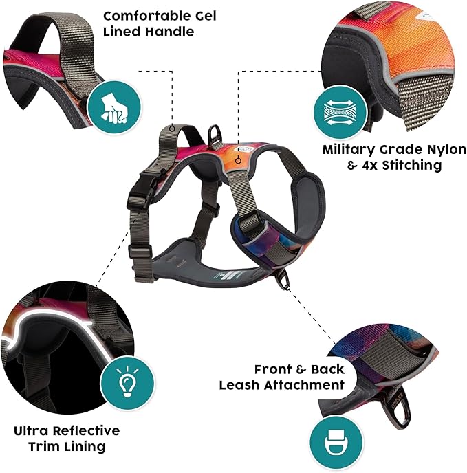 Embark Adventure Small Dog Harness – No-Pull, Reflective Trim, Military-Grade Nylon, Front Clip with Gel-Lined Handle, Soft & Padded Puppy Harness