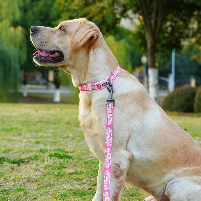 Dog Collar Leash Set, Floral Pattern, with Safety Reflective Strips, 5 ft Matching Leash, Neoprene Padded Handle, Adjustable 4 Sizes for Small Medium Large Dogs.(M, Pink Daisy)